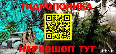молекула духа Гусиноозёрск